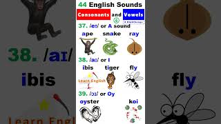 44 English Sounds 4  8 Diphthongs [upl. by Maxia105]