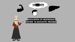 Regulation of hexokinase enzymes in the glycolytic pathway biochemistry regulation glycolysis [upl. by Naivat]