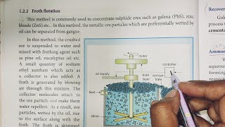 Froth Flotation  Metallurgy  12th Chemistry  In Tamil  Shivanis Classroom [upl. by Ahtanoj]