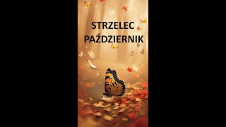 TAROT  STRZELEC  PAŹDZIERNIK 2024 [upl. by Eornom]