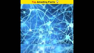 How many neutrons are there in the human brain 😱  facts shorts [upl. by Nnyroc]