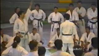 Kawasoe SenseiSeminar1992part 1 of 2 [upl. by Annasus]