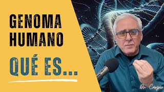 ¿Qué es la Información Genética Un Viaje al Corazón del Genoma Humano [upl. by Juanita424]