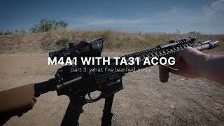 M4A1 Block II with Trijicon ACOG  What Ive Learned So Far [upl. by Ailuy]