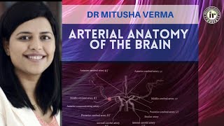 ARTERIAL ANATOMY OF THE BRAIN  DR MITUSHA VERMA  Radioanatomy Session  MCA PCA ACA ICA [upl. by Zoara202]