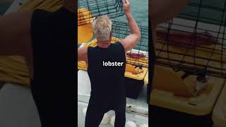 Sailor Survives 16 Hours Holding on to Lobster Cage [upl. by Alford]