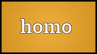 Homo Meaning [upl. by Natala666]