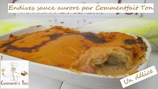 Endives sauce aurore  recette avec endive [upl. by Elianore]