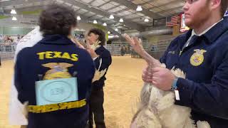 2024 CFISD Livestock ShowPoultry Show [upl. by Mastat]