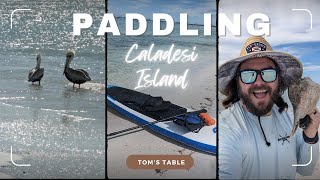 Dunedin Causeway To Caladesi Island An Epic Paddling Adventure [upl. by Vito]