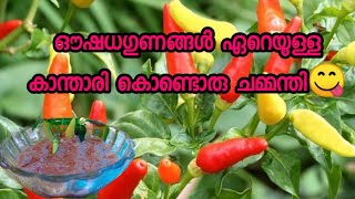 kanthari Mulaku chammandhi  മുളക് ചമ്മന്തി  malayalam recipe [upl. by Gentilis237]