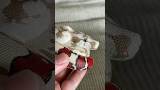 python snake 3d snake shorts [upl. by Bradway]