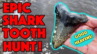 EPIC 12 Minutes of Megalodon Shark Tooth Hunting UNCUT [upl. by Eilrahc744]