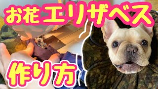 【必見】エリザベスカラーの作り方！フレンチブルドッグのルーク【Luke VLOG 36】 [upl. by Aisena]