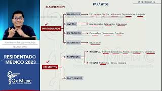 PARASITOLOGIA PROTOZOARIOS [upl. by Neemsaj]