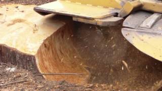 Stump grinding MultiTip Stump Cutting System [upl. by Ethelyn]