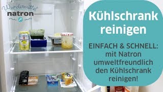 Kühlschrank reinigen mit Natron – umweltfreundlich amp einfach [upl. by Camus191]