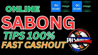 ONLINE SABONG TIPS 100 WINRATE [upl. by Drews]