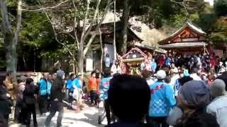 Mikoshi Arriving At Shrine Female Fertility Festival [upl. by Ennaj]