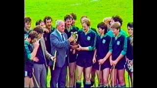 1987 Donegal GAA County Hurling Final Setanta v Burt [upl. by Annaeg]