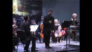 Hoffmeister Concerto in D Major for Viola amp Orchestra [upl. by Harmonia497]