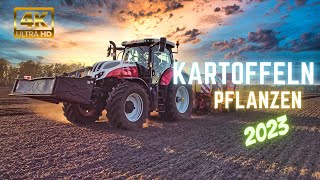 Kartoffeln pflanzen 2023  Grimme Steyr Impuls Case [upl. by Dlawso]