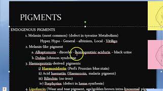 Pathology 039 b cell pigments endogenous exogenous melanin hemosiderin hemosiderosis [upl. by Eedissac]