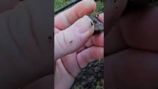 Token metaldetecting treasurehunt shortsviral [upl. by Ridinger836]