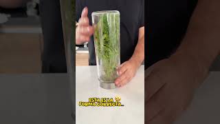 Sabías que esta es la forma de conservar tu cilantro home recetas cocina LifeHacks tips hogar [upl. by Hendrick]