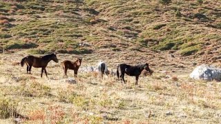 Toros Dâgları  Taraşçı kasabası 1825 rakıma çıktık doğa gezisi 26449 adım atmışım [upl. by Savitt628]