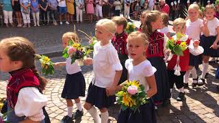 550 Chilbi WaldshutTiengen Festumzug 2018 [upl. by Sudhir559]