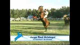 Jorge Raúl Aristegui el 10 veces campeón de Jesús Maria vs El quotnocheroquot de Ahmed [upl. by Bard]