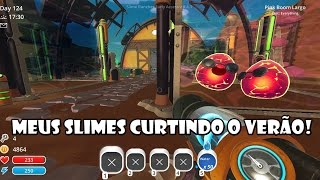 Slime Rancher 35  Slimes com óculos de sol [upl. by Adnirem684]