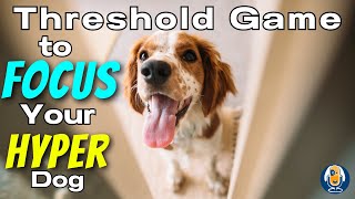 Training Plan For Hyper Excited Dogs Play The Threshold Game For Calm Focus 258 podcast [upl. by Kopple]