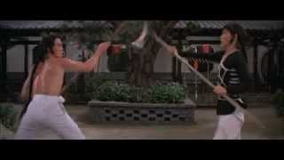 Invincible Shaolin 南少林與北少林 1978 by Shaw Brothers  Heat 08 Butterfly Pole [upl. by Nahshunn]