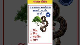 General Knowledge Quiz ll generalknowledge vairal mhgkmarathi trivia mhgk shorts study gk [upl. by Armat]