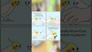 Funny Comics With Parrot Thought Twist 9 cartoon cat comic sundaycomics drawing game birds [upl. by Lydia]