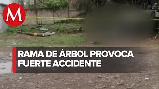 Accidente por caída de rama de árbol en carretera de Veracruz deja un muerto y dos heridos [upl. by Enymsaj363]