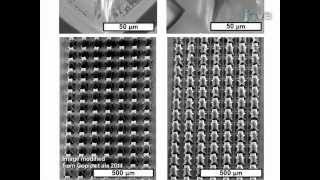 Fabrication and replica molding of 3D carbon nanotube microstructures [upl. by Rapp]