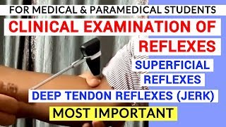 REFLEXES EXAMINATION  CLINICAL LAB  PHYSIOLOGY PRACTICALS [upl. by Eiznikcm]