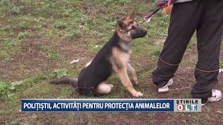 POLITISTII ACTIVITATI PENTRU PROTECTIA ANIMALELOR [upl. by Musser724]