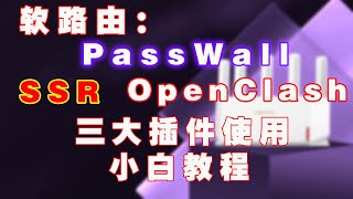 软路由上PassWall、SSR、OpenClash三大插件小白使用教程，魔法上网！ [upl. by Zandra]