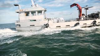 New Zealand Greenshell mussel farming in the Hauraki Gulf [upl. by Jacky]