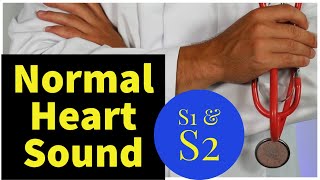 Normal S1 and S2 Heart Sounds With Explanation [upl. by Chamkis227]