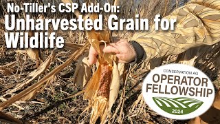 NoTillers CSP AddOn Unharvested Grain for Wildlife [upl. by Sachs]