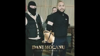 Dani Mocanu  Familie Frumoasa  Official Audio [upl. by Erdrich]