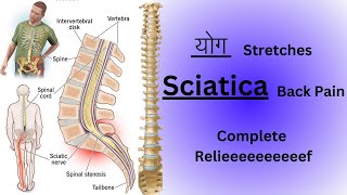 योग FOR SCIATICA BACK PAIN [upl. by Holleran]