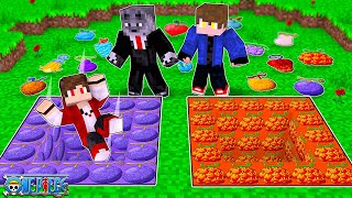 Entre no Buraco das Devil Fruits de One Piece de Paramecia vs Logia vs Zoan 𝗡𝗢 Minecraft [upl. by Noelc]