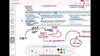 DPP 4 inhibitors mechanism of action endocrinology 91  First Aid USMLE Step 1 in UrduHindi [upl. by Latisha]