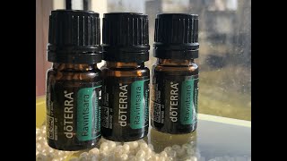 Антимикробное Эфирное масло Равинтсара Ravintsara doTERRA [upl. by Denison]